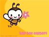 ��hapbee��