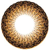˵