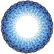 ˵