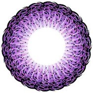˵