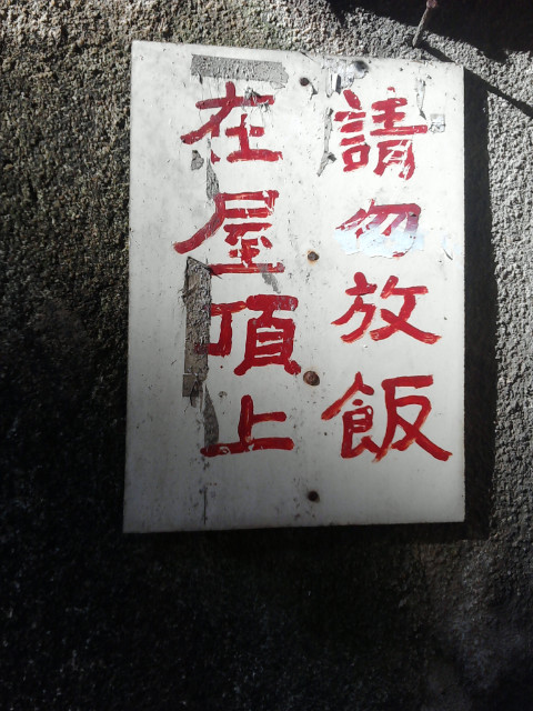 ˵