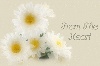 �ڳ̷R����