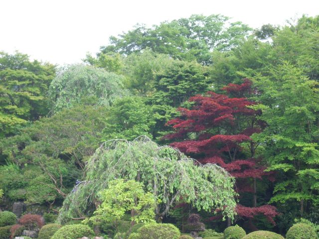 ˵