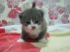 �^�uBB