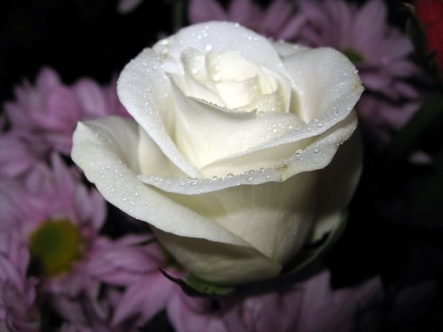 ˵
