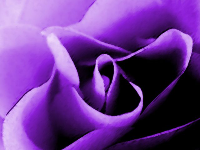 ˵