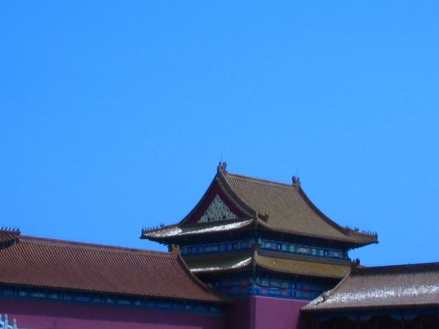 ˵