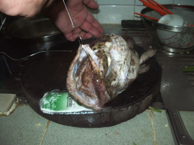˵
