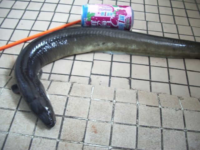 ˵