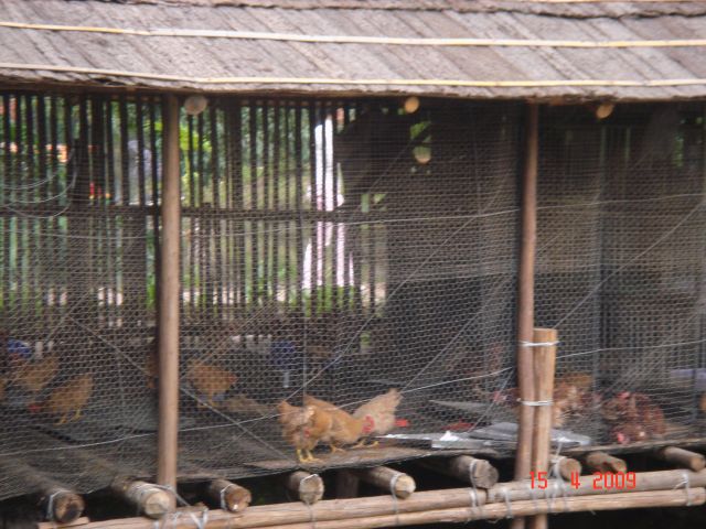 ˵