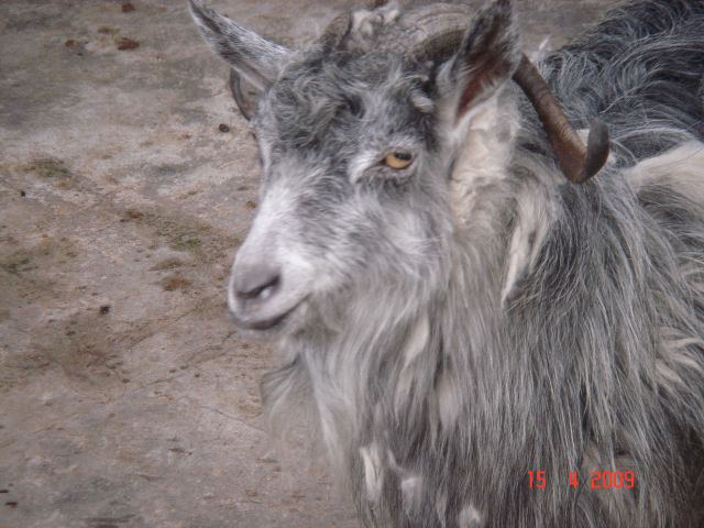 ˵