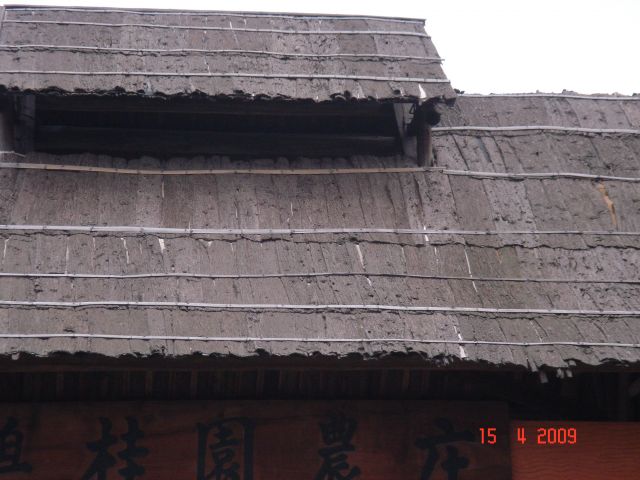 ˵