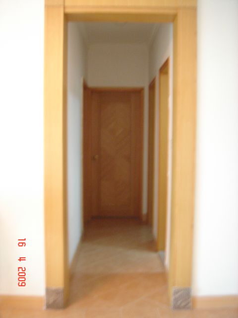 ˵