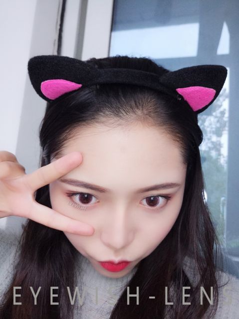 �˵����