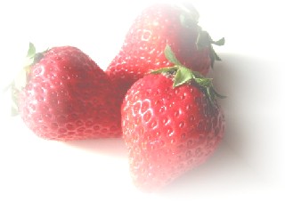 ˵