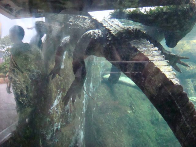 ˵
