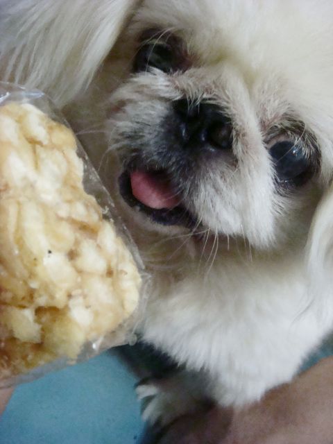 ˵