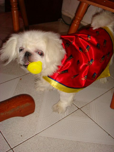 ˵