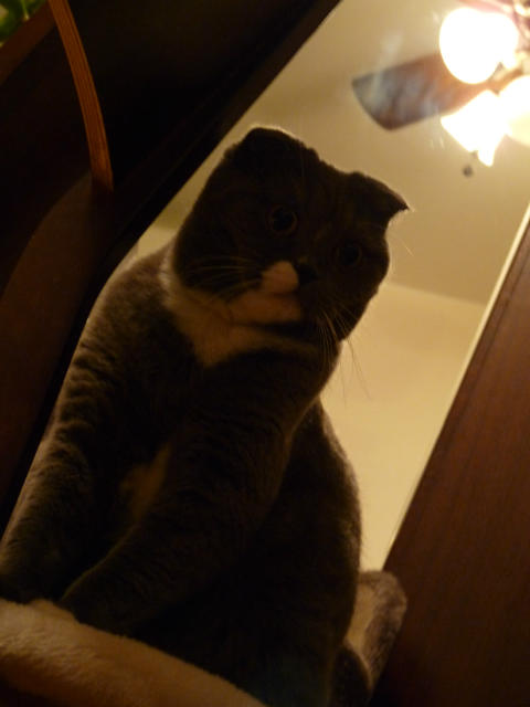 �˵����