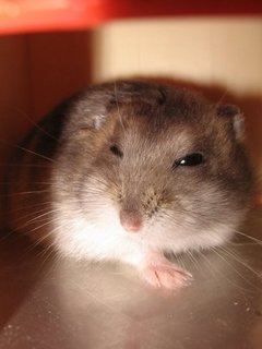 ˵
