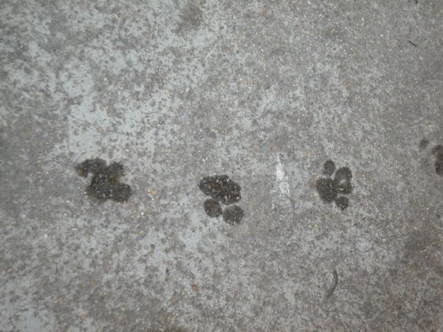 ˵