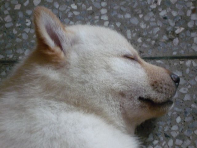 ˵