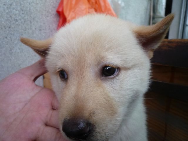 ˵