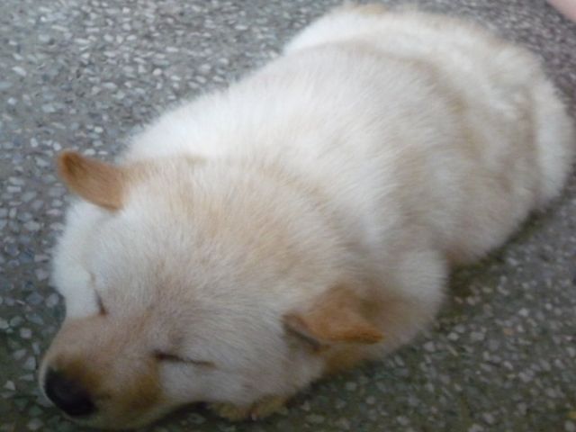 ˵