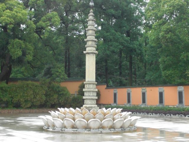 ˵