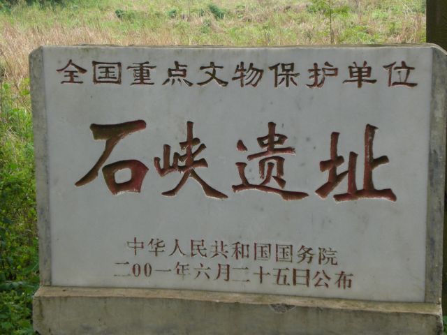 ˵