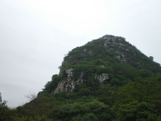 ˵
