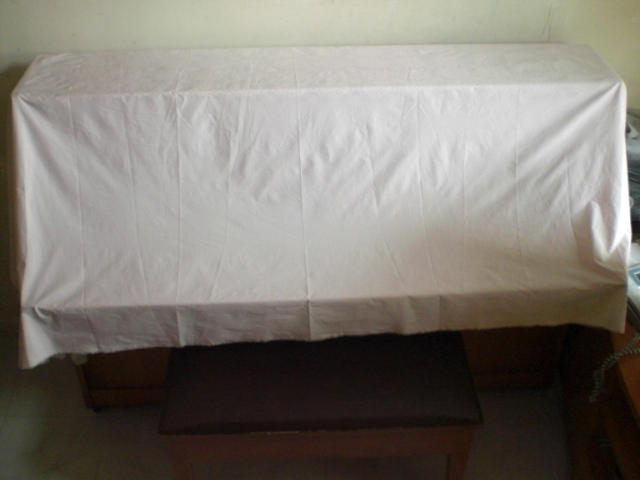 ˵