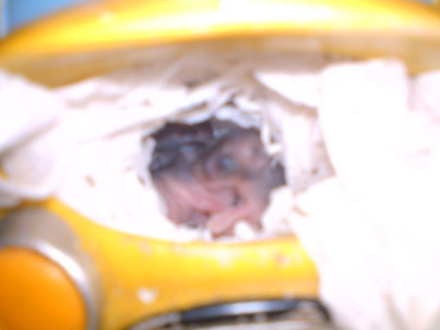 ˵