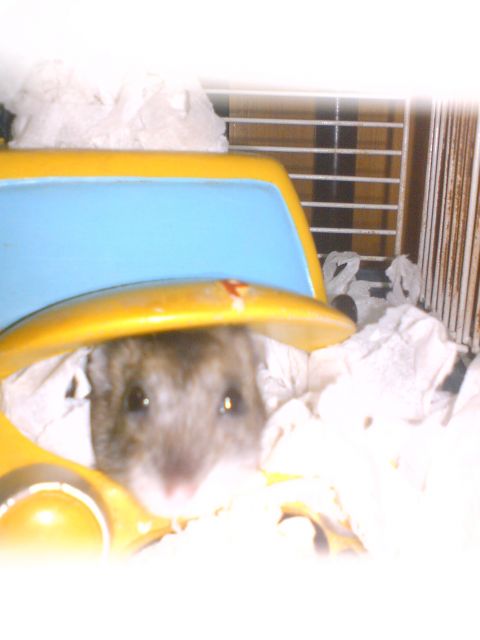 ˵