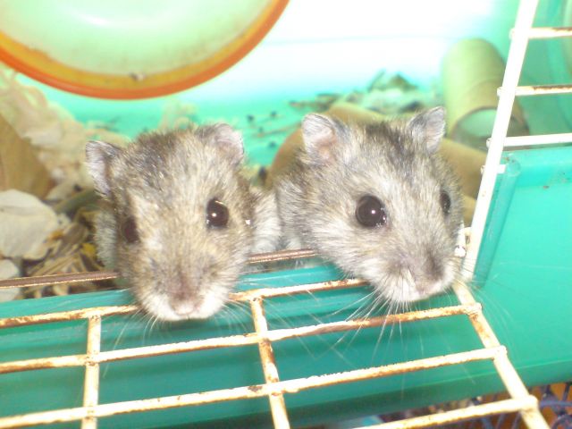 ˵