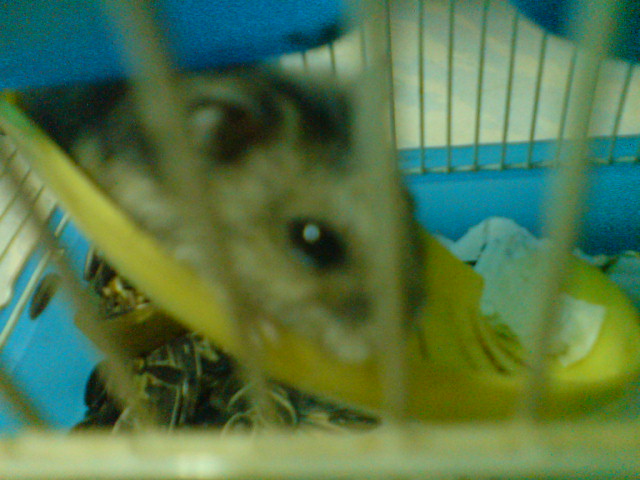 ˵
