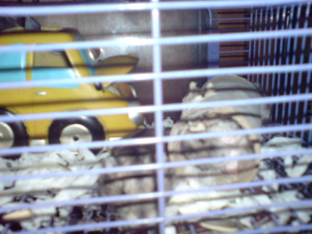 ˵
