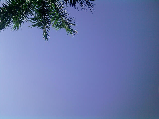 ˵