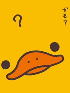 ˵