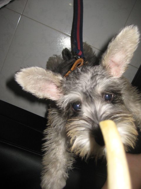˵