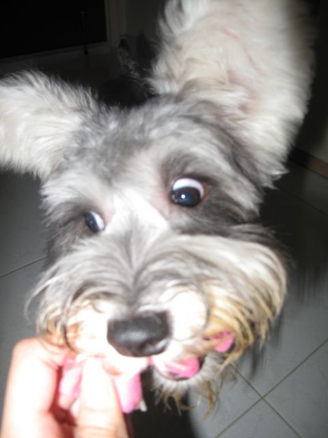 ˵
