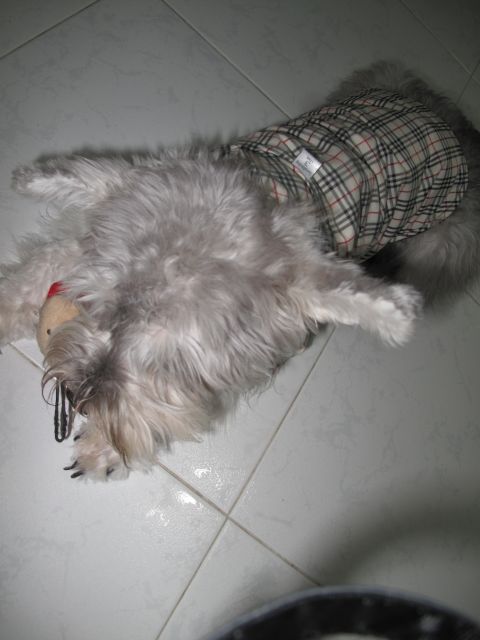 ˵