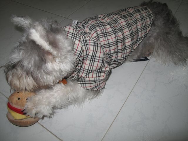 ˵