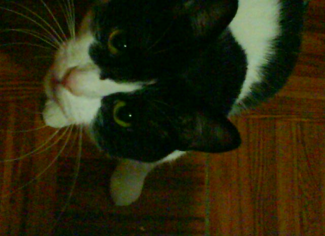 ˵