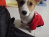 �ڪ��_���J!!!