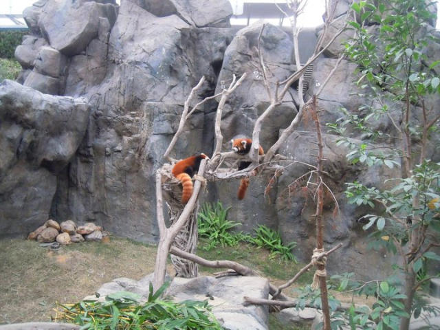 ˵