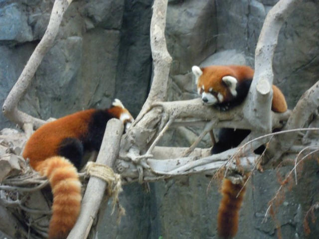 ˵