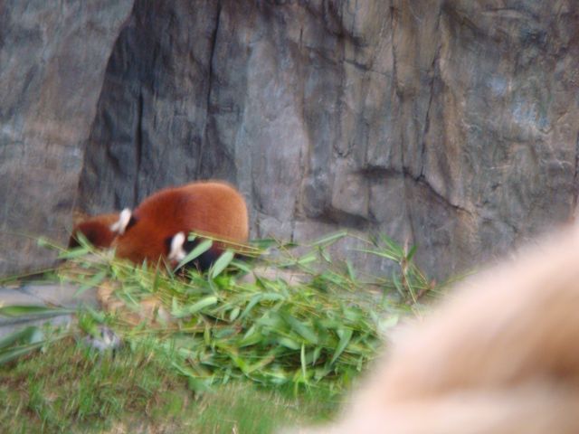 ˵