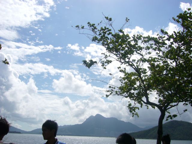 ˵