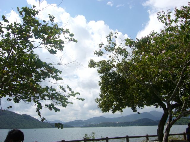 ˵